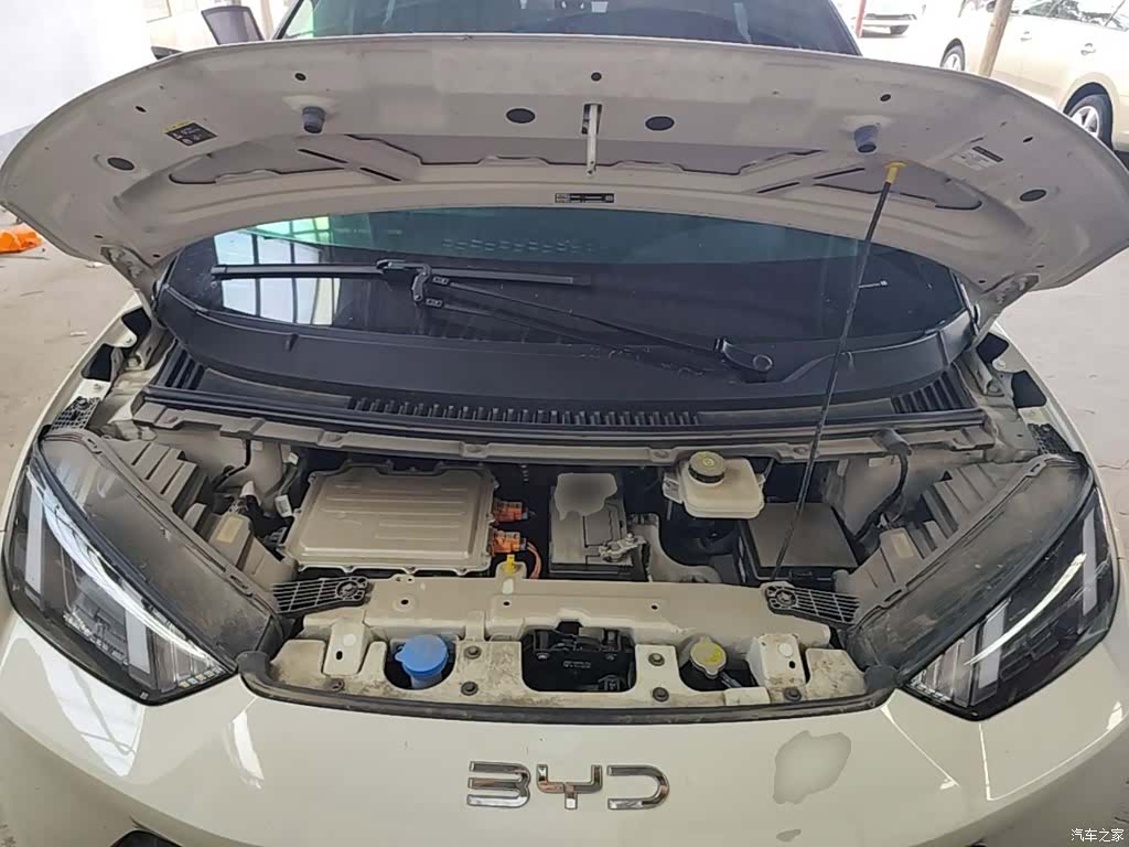 BYD Seagull, 2024 20