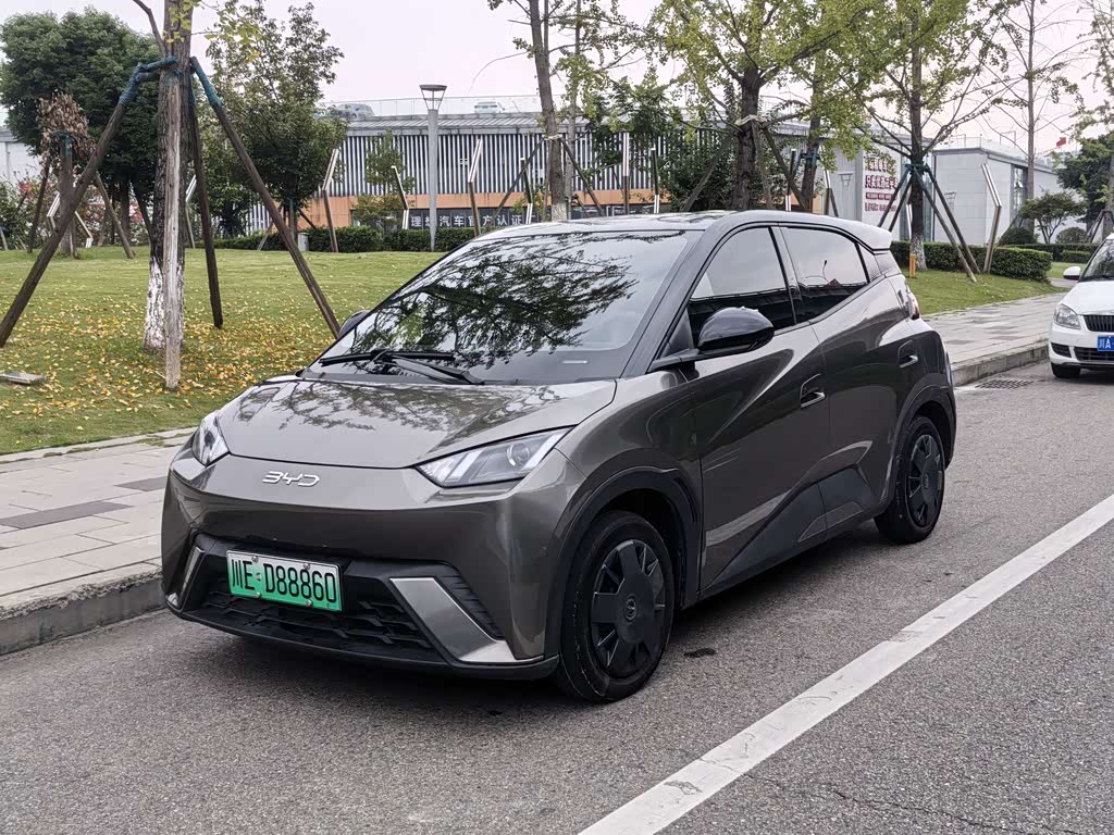 BYD Seagull 2024 305km