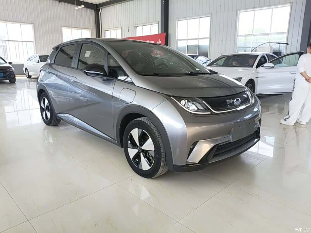 BYD Dolphin, 2023 4