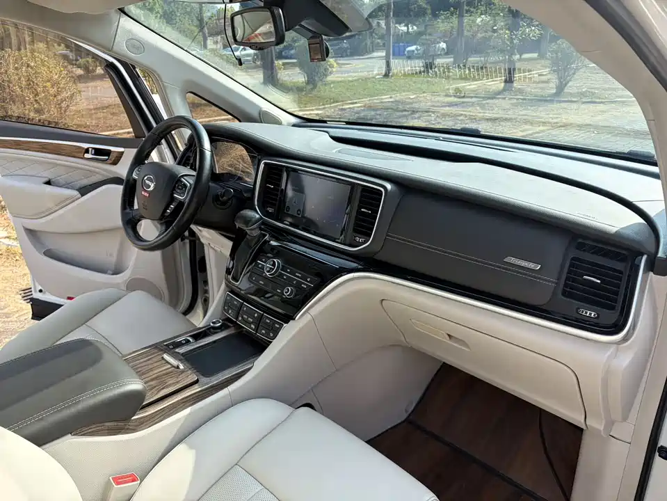 Trumpchi Trumpchi M8