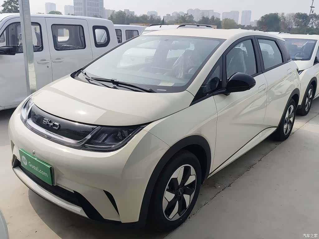 BYD Dolphin, 2026 1
