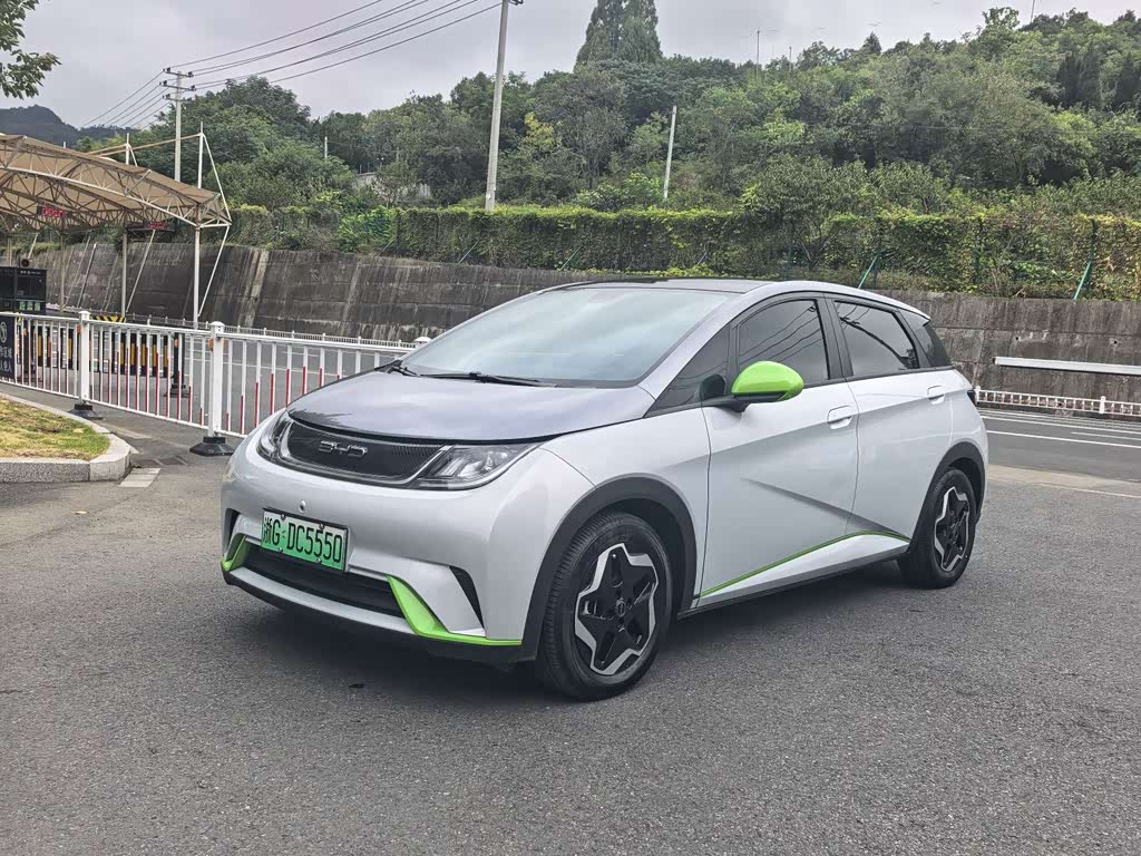 BYD Dolphin