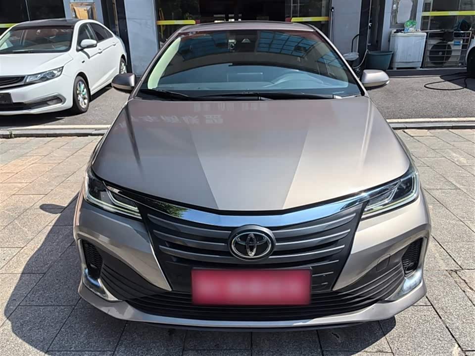 Toyota Asian lion