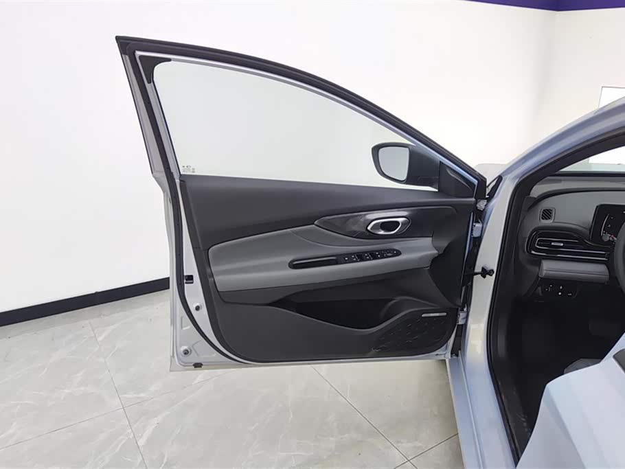 Trumpchi Shadow Leopard