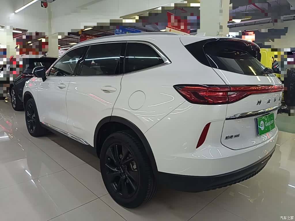 Haval H6, 2023 все фото