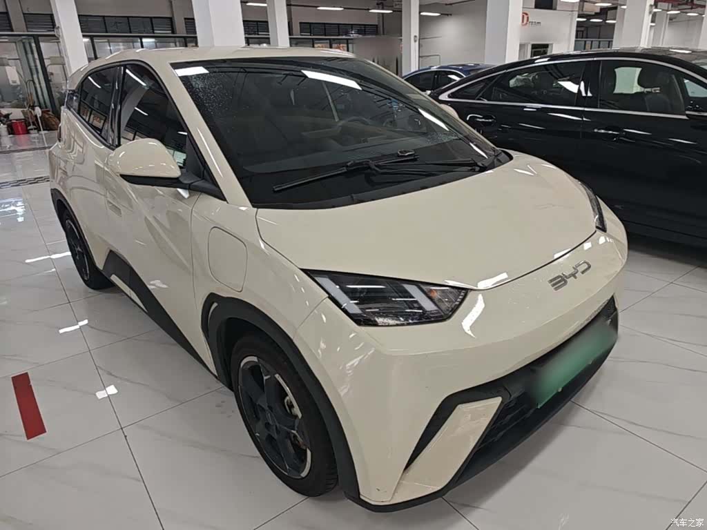 BYD Seagull, 2024 4