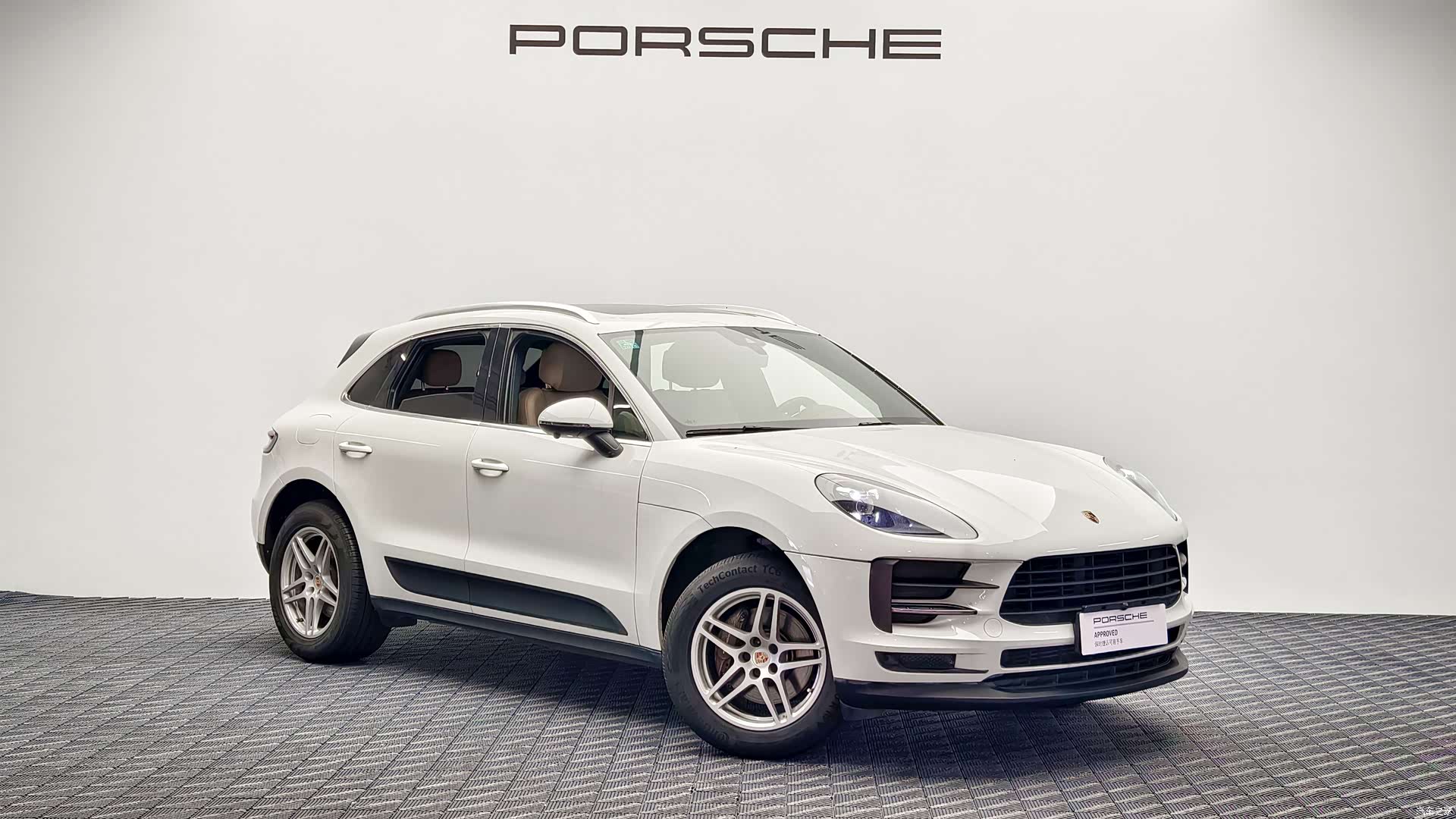 Macan Macan, 2019 3