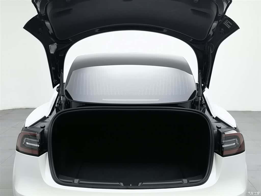 Tesla Model 3, 2020 16