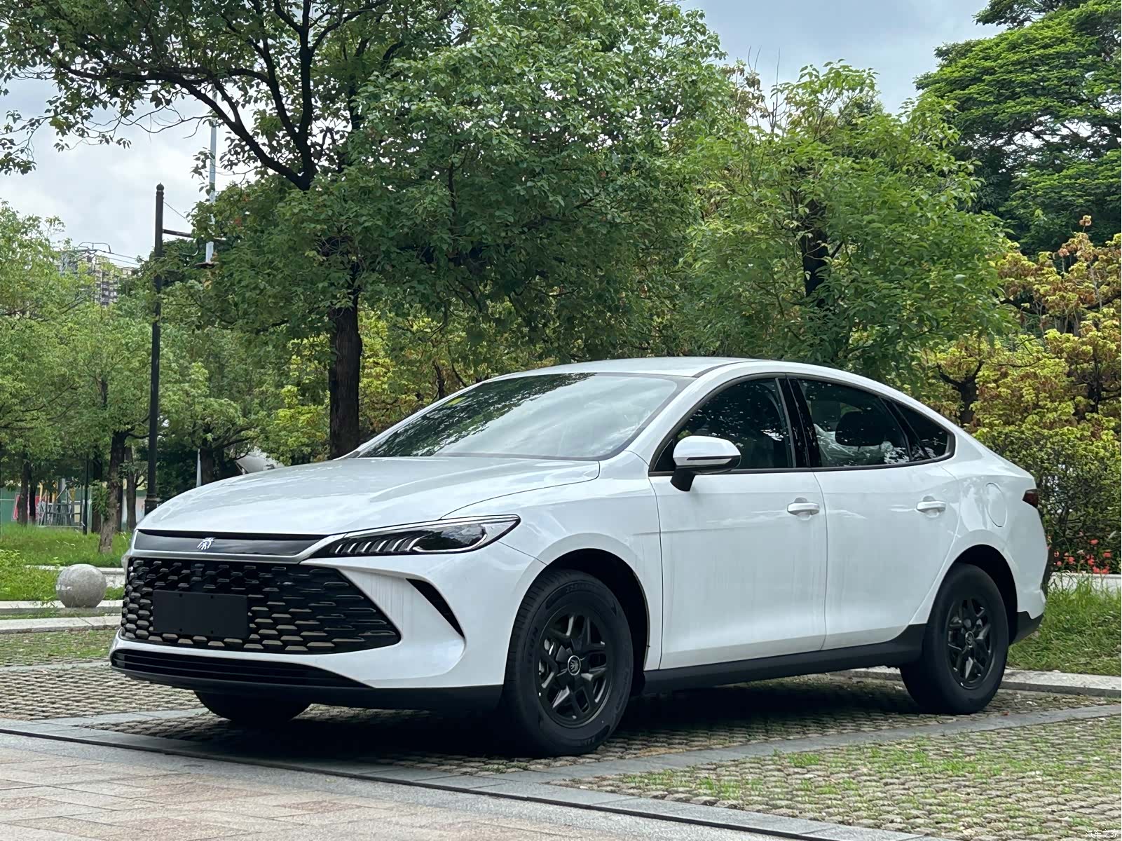 BYD Qin, 2026 1
