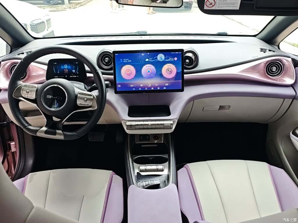 BYD Dolphin, 2023 10