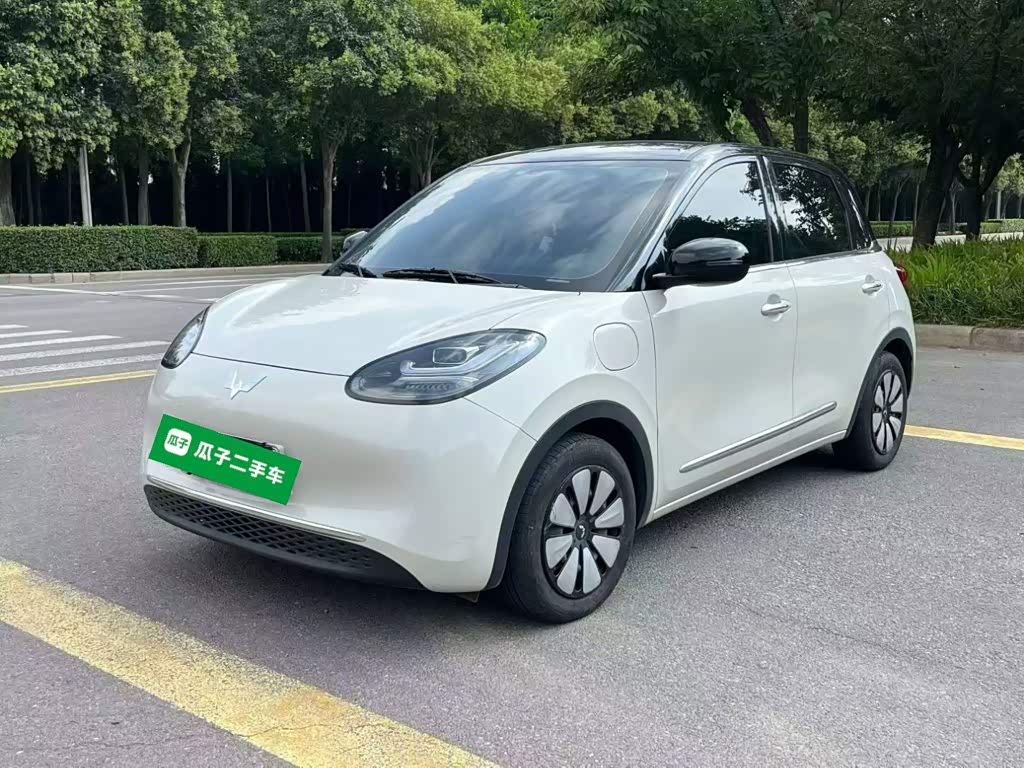 Wuling Binguo