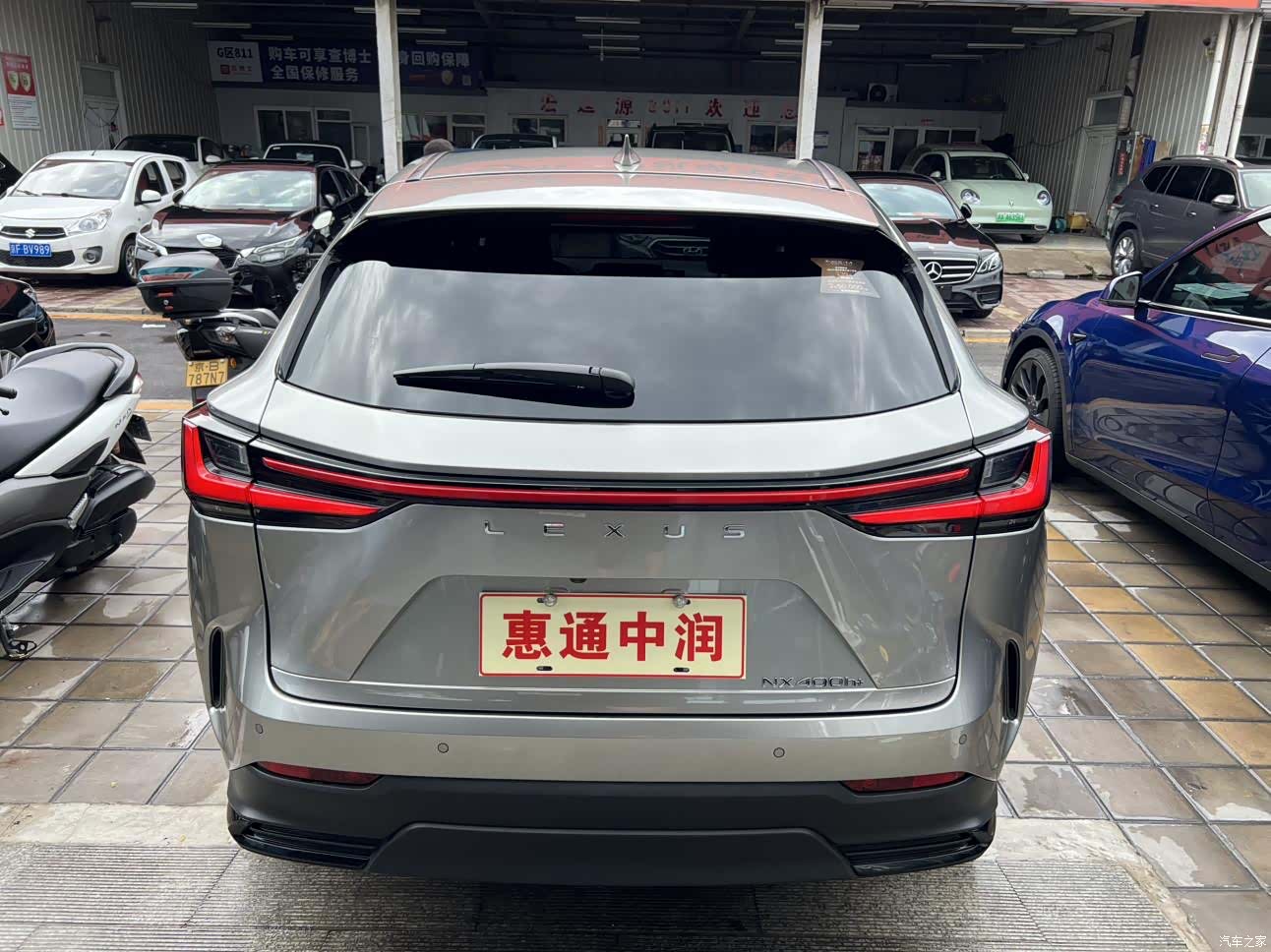 Lexus NX, 2024 все фото
