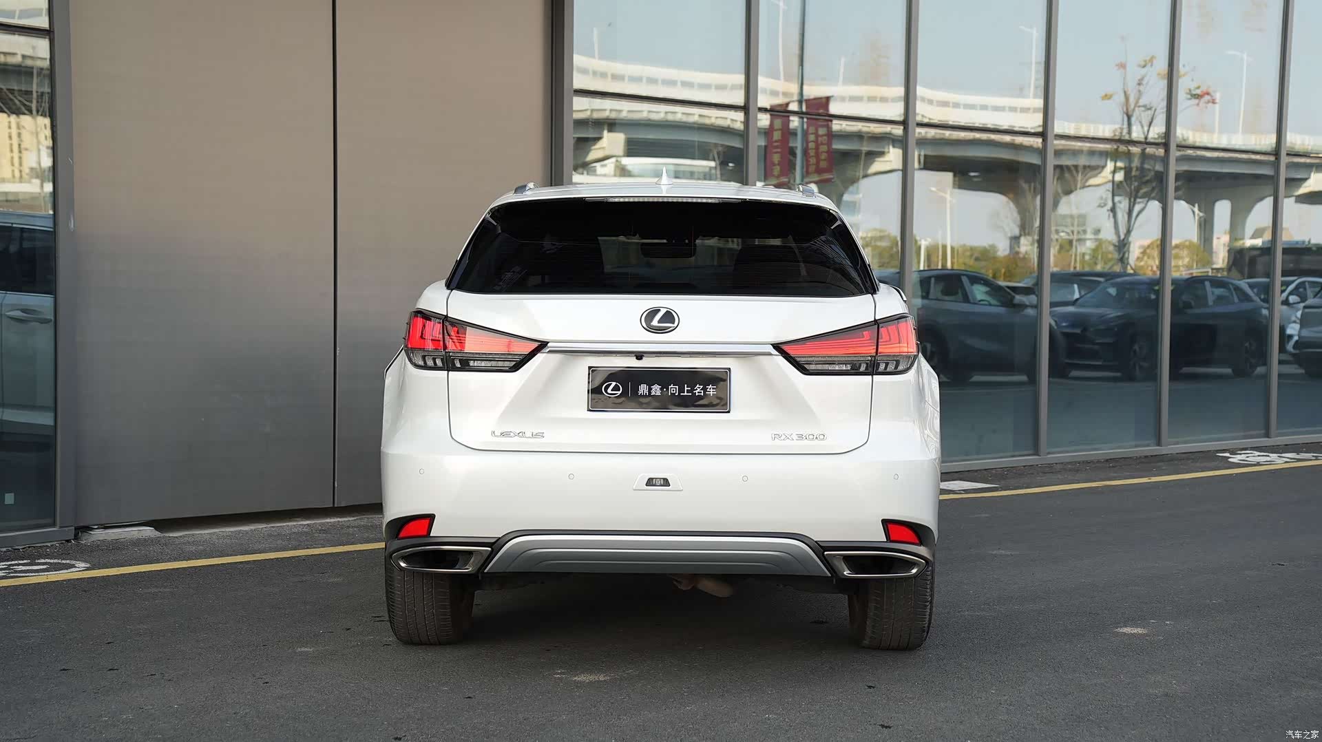 Lexus RX, 2022 все фото