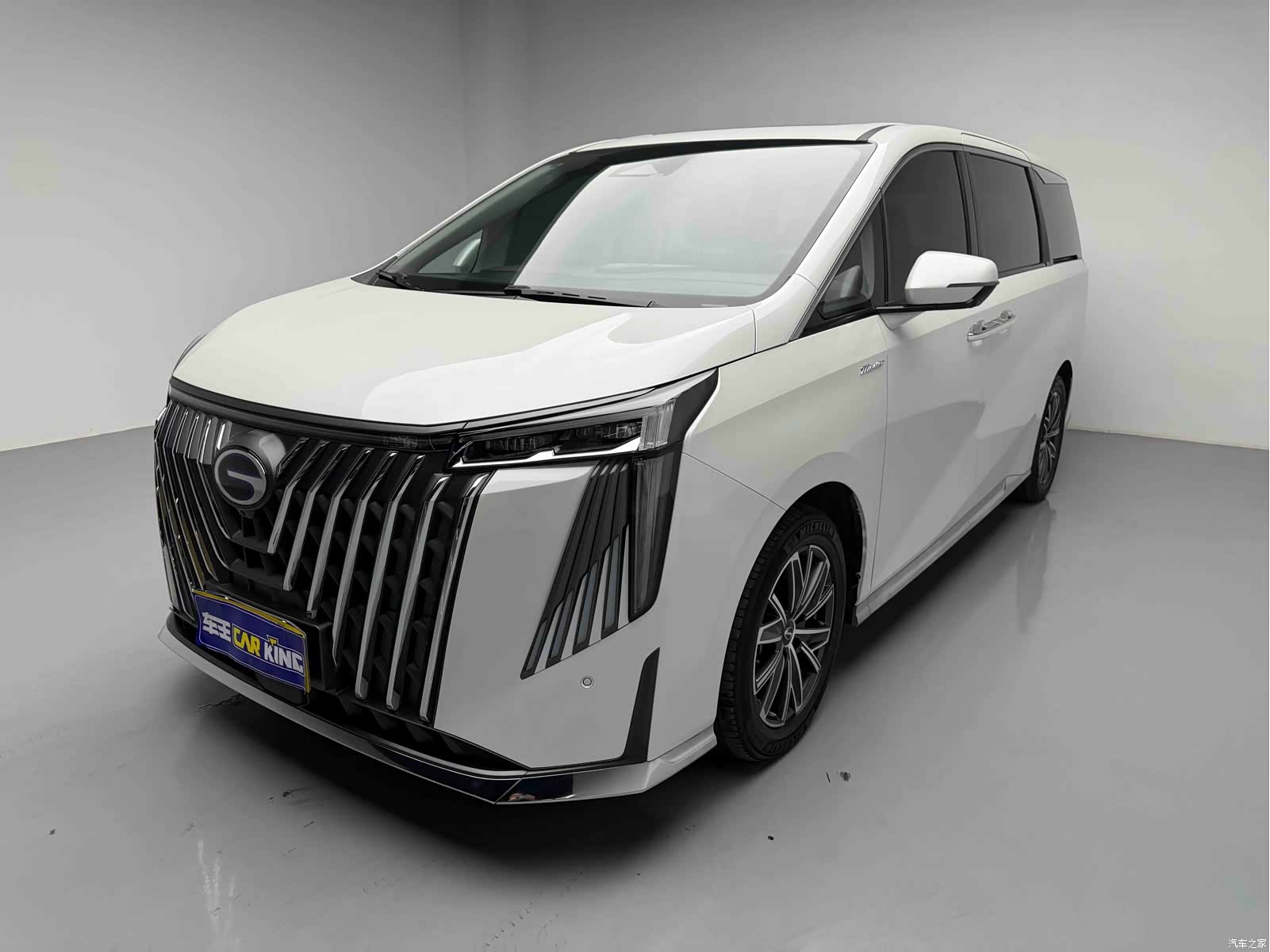 Trumpchi M8, 2024 1