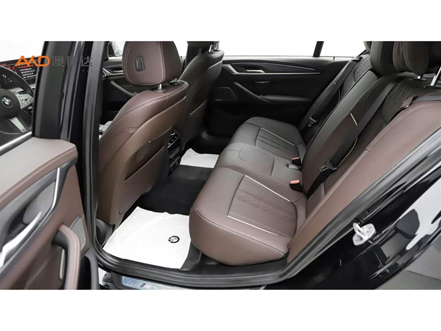 BMW BMW 530Li/2.0T/23/Leader 2023, фото 7