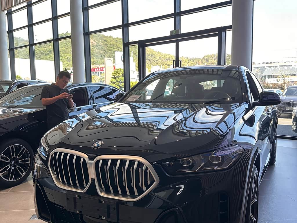 BMW X6