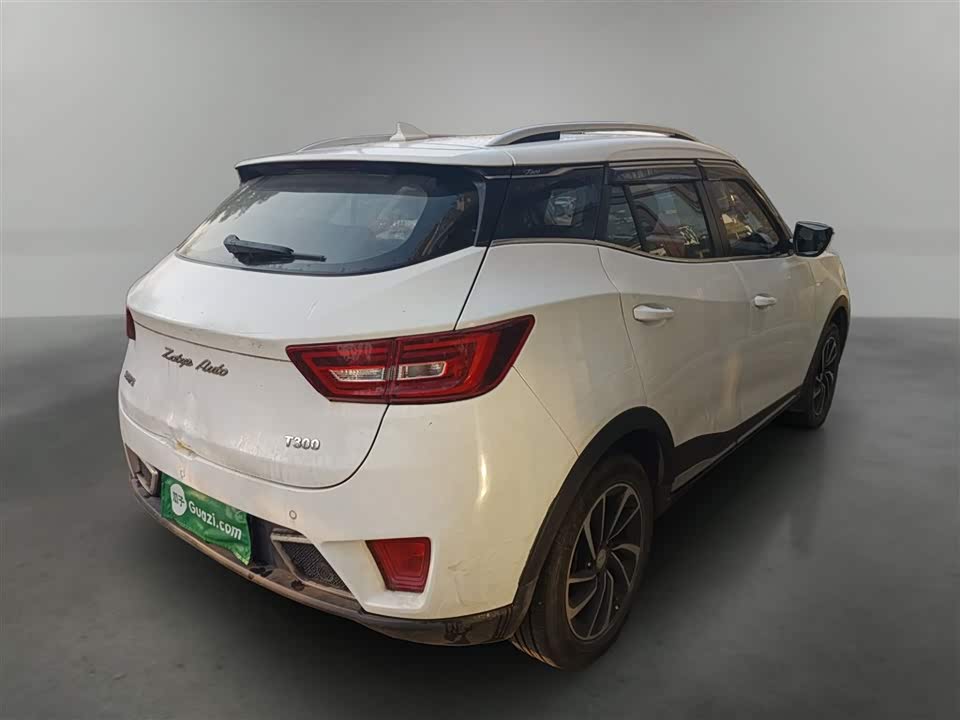 Zotye T300