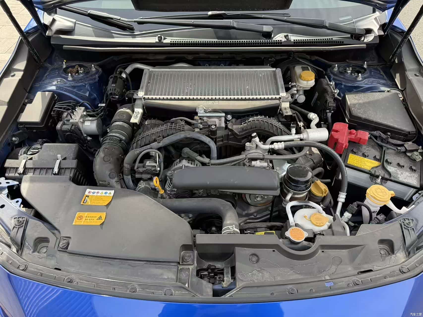 Subaru WRX, 2025 10