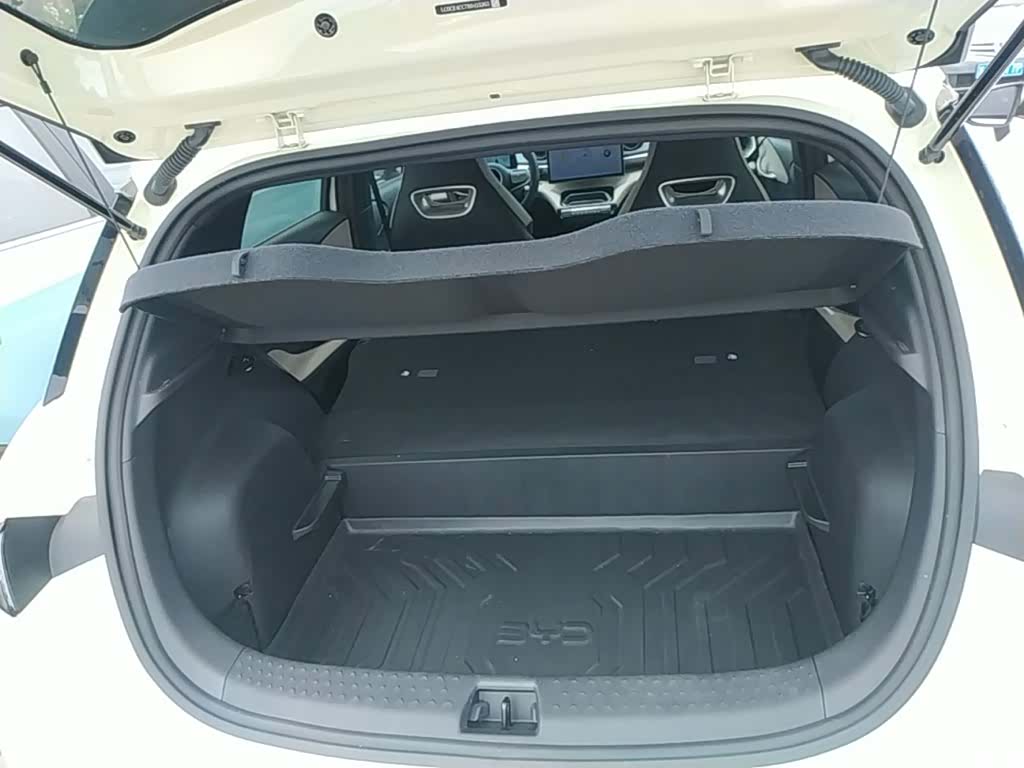 BYD Dolphin, 2024 19