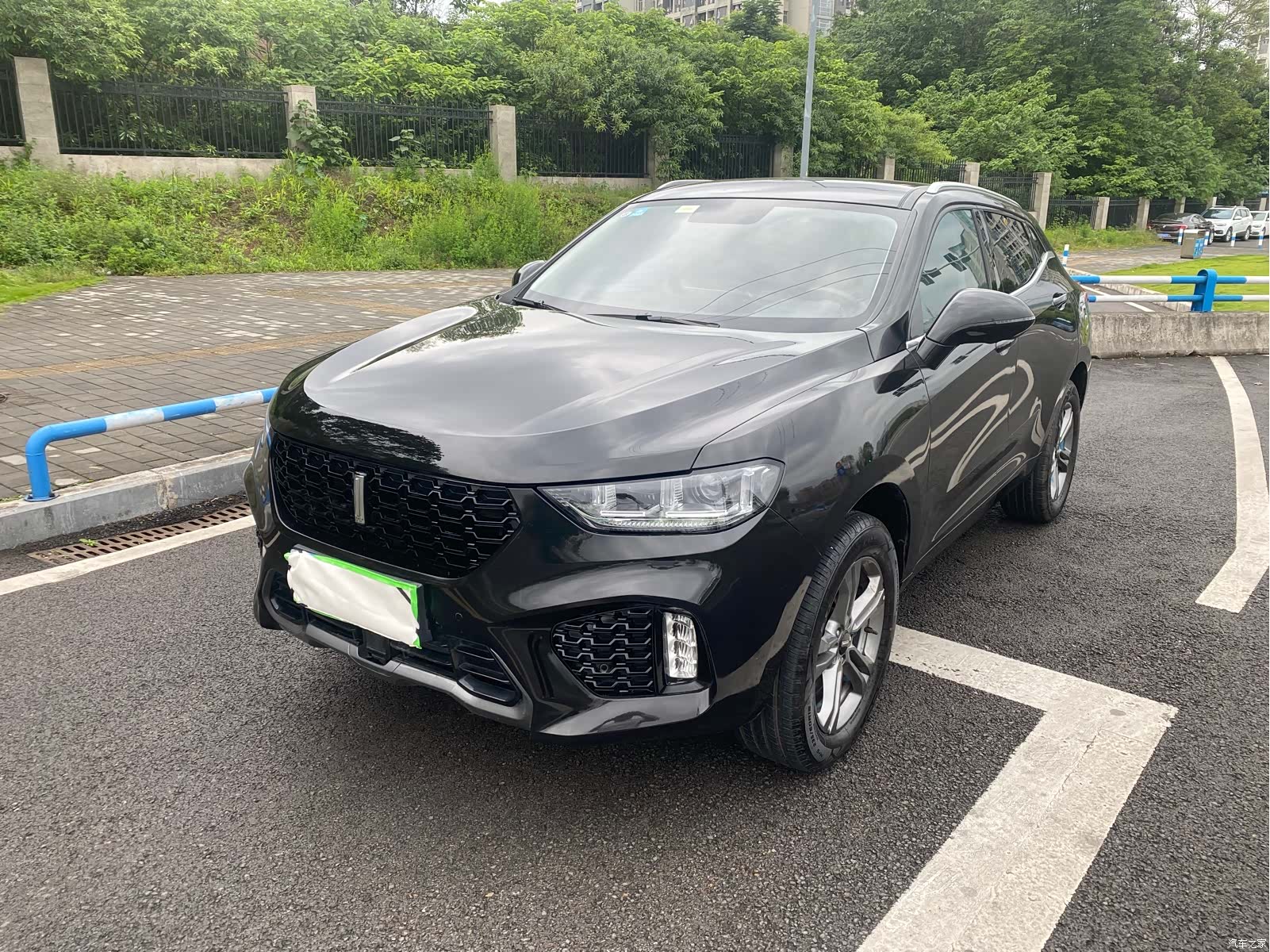 WEY VV5, 2019 1
