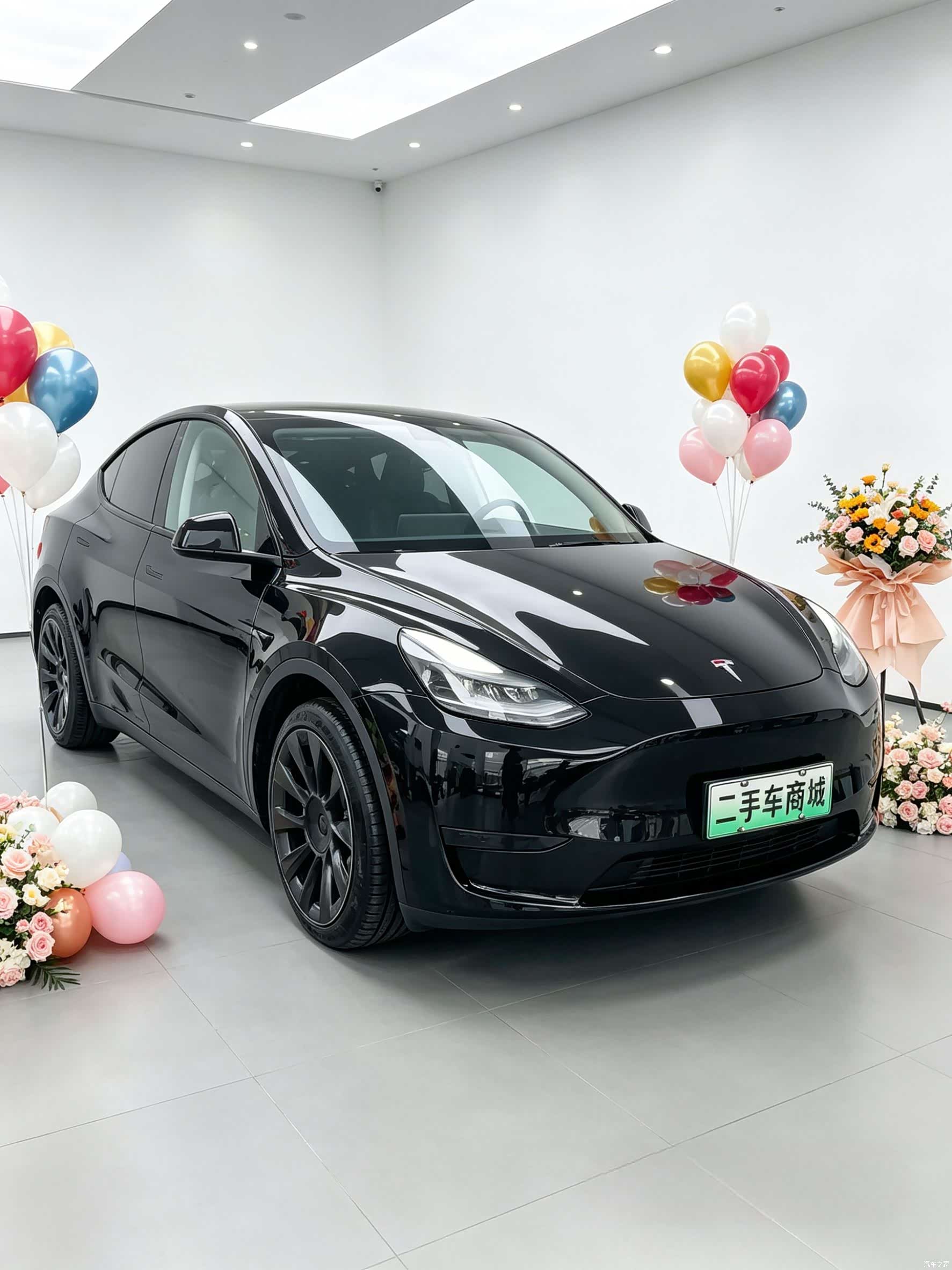 Tesla Model Y, 2022 3
