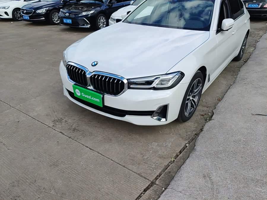 BMW 5 Series 2021, фото 23