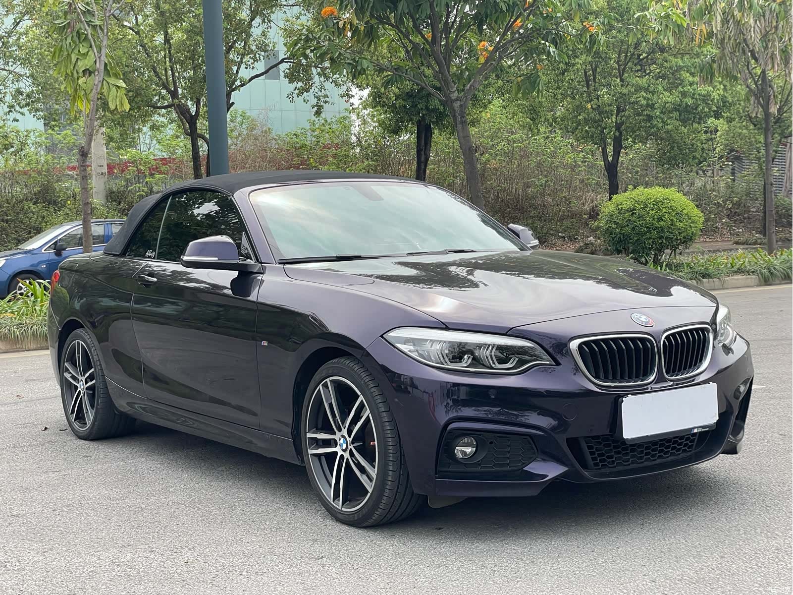 BMW 2 Series, 2019 16