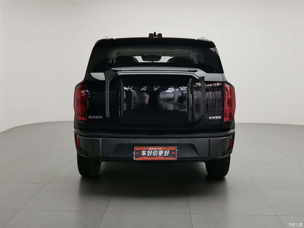 Haval Cool Dog, 2023 4