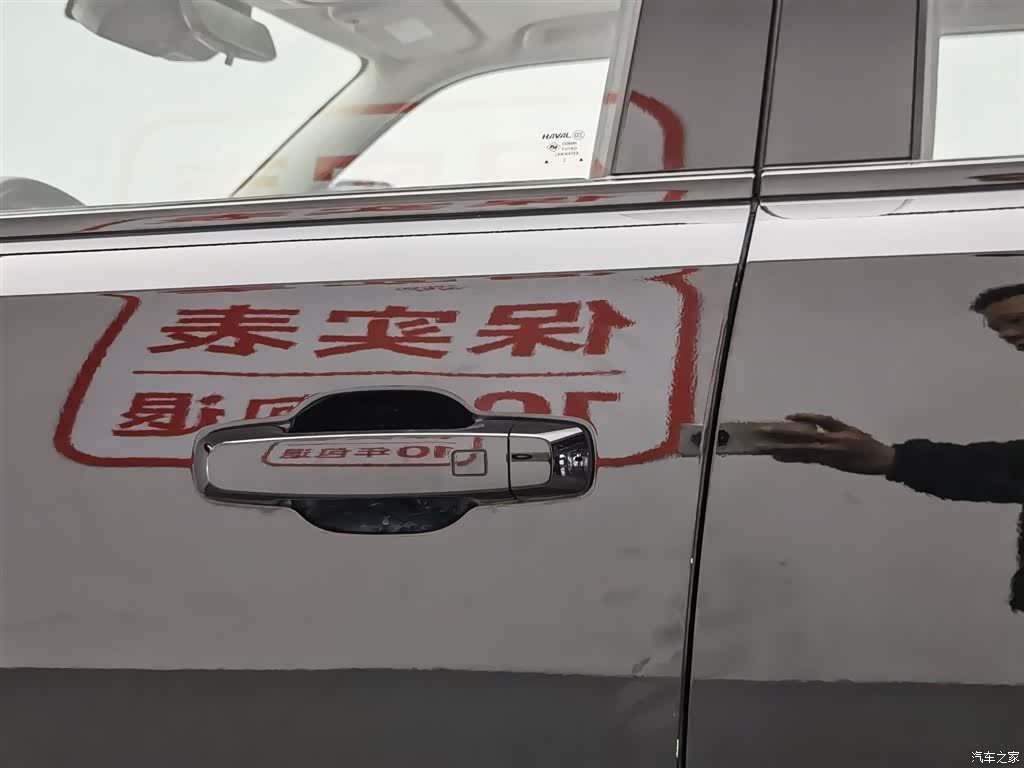 Haval Cool Dog, 2023 18