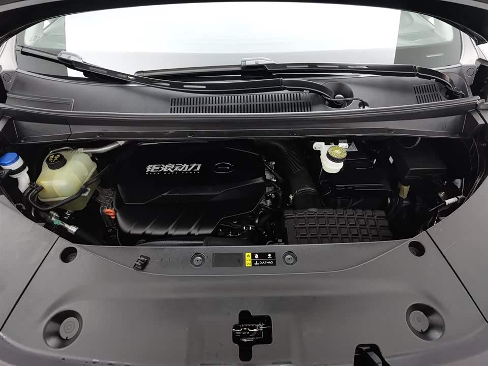 Trumpchi Trumpchi M8