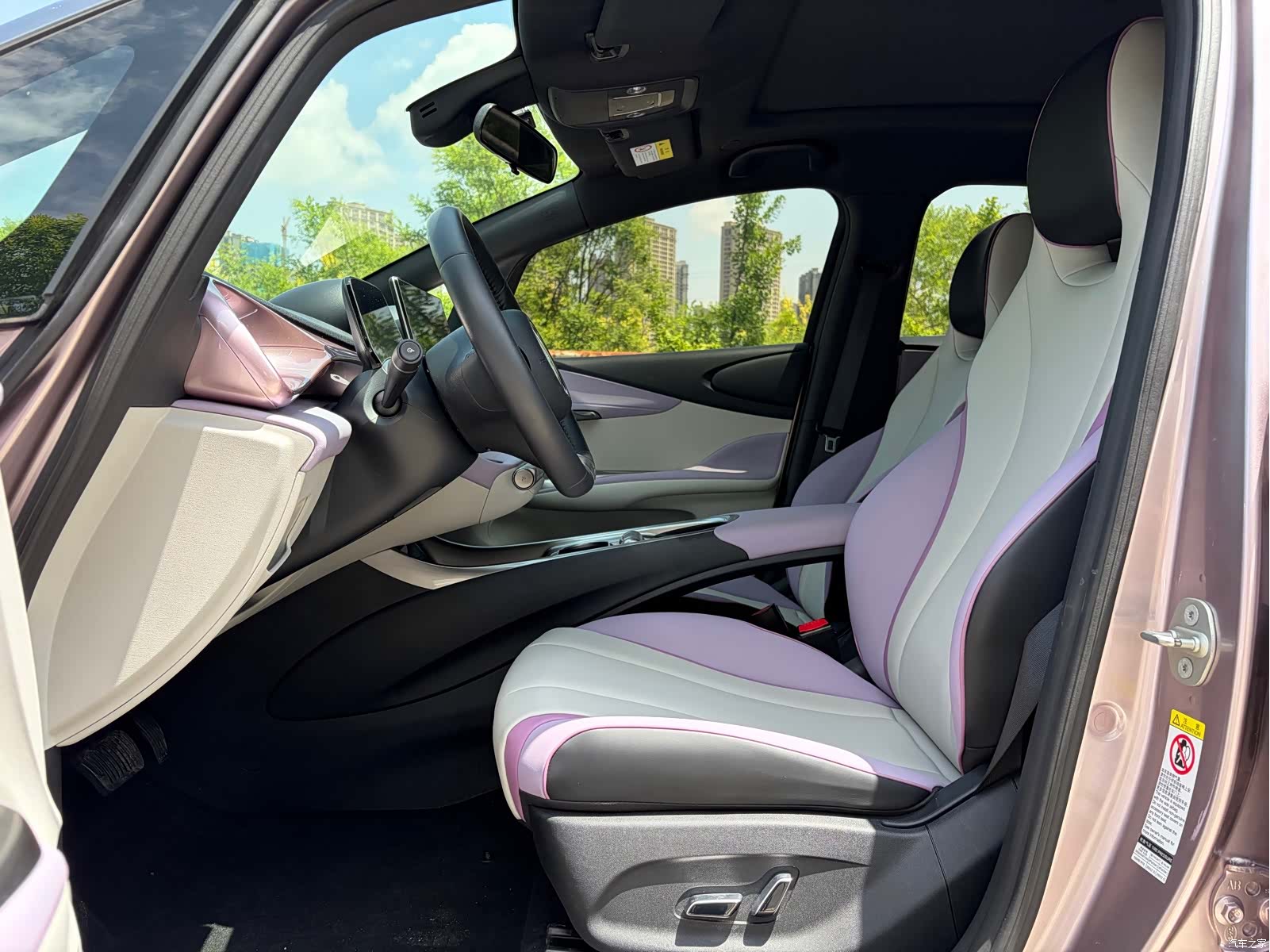 BYD Dolphin, 2022 4
