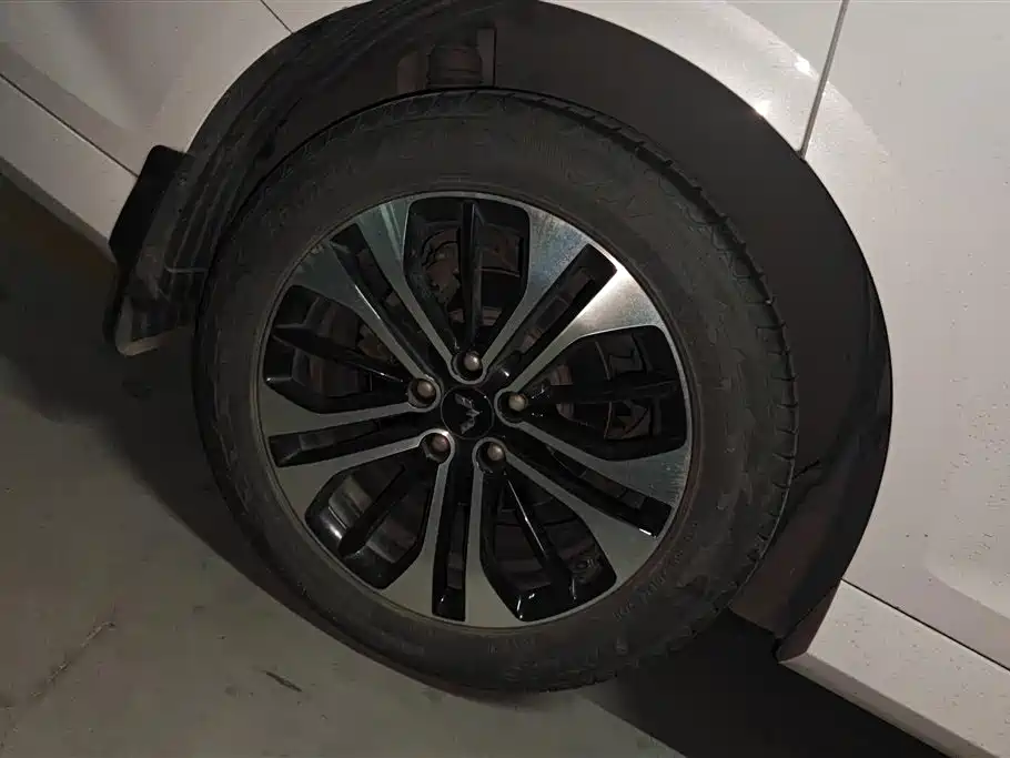 Wuling Wuling Capgemini