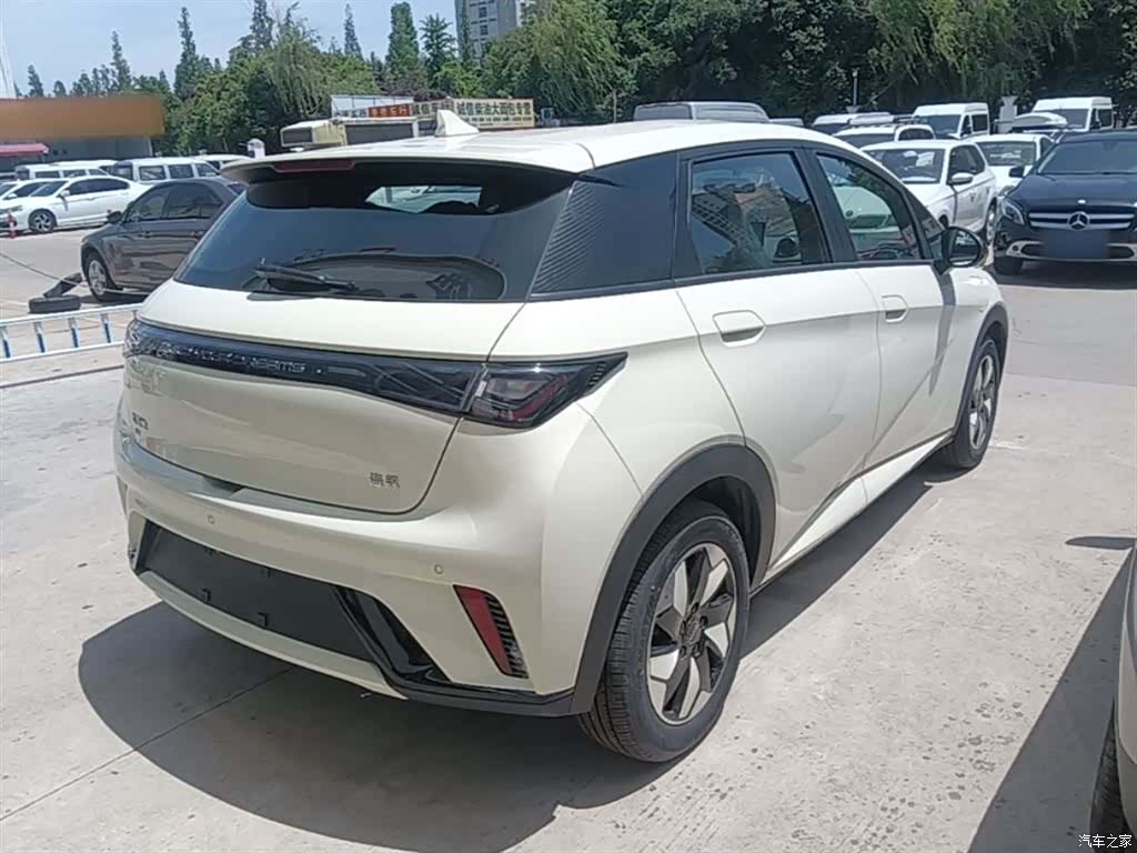 BYD Dolphin, 2026 7