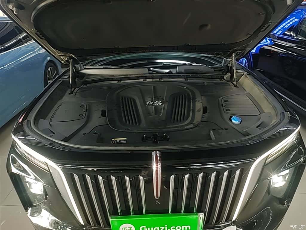 Hongqi E-HS9, 2023 20