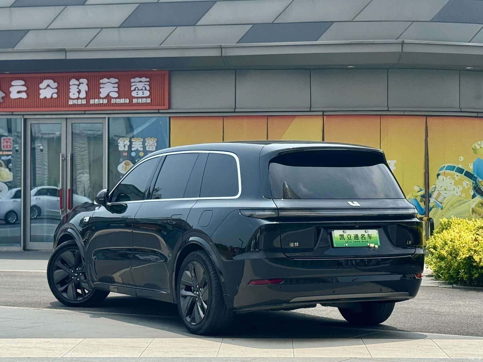Li Auto L9, 2024 3