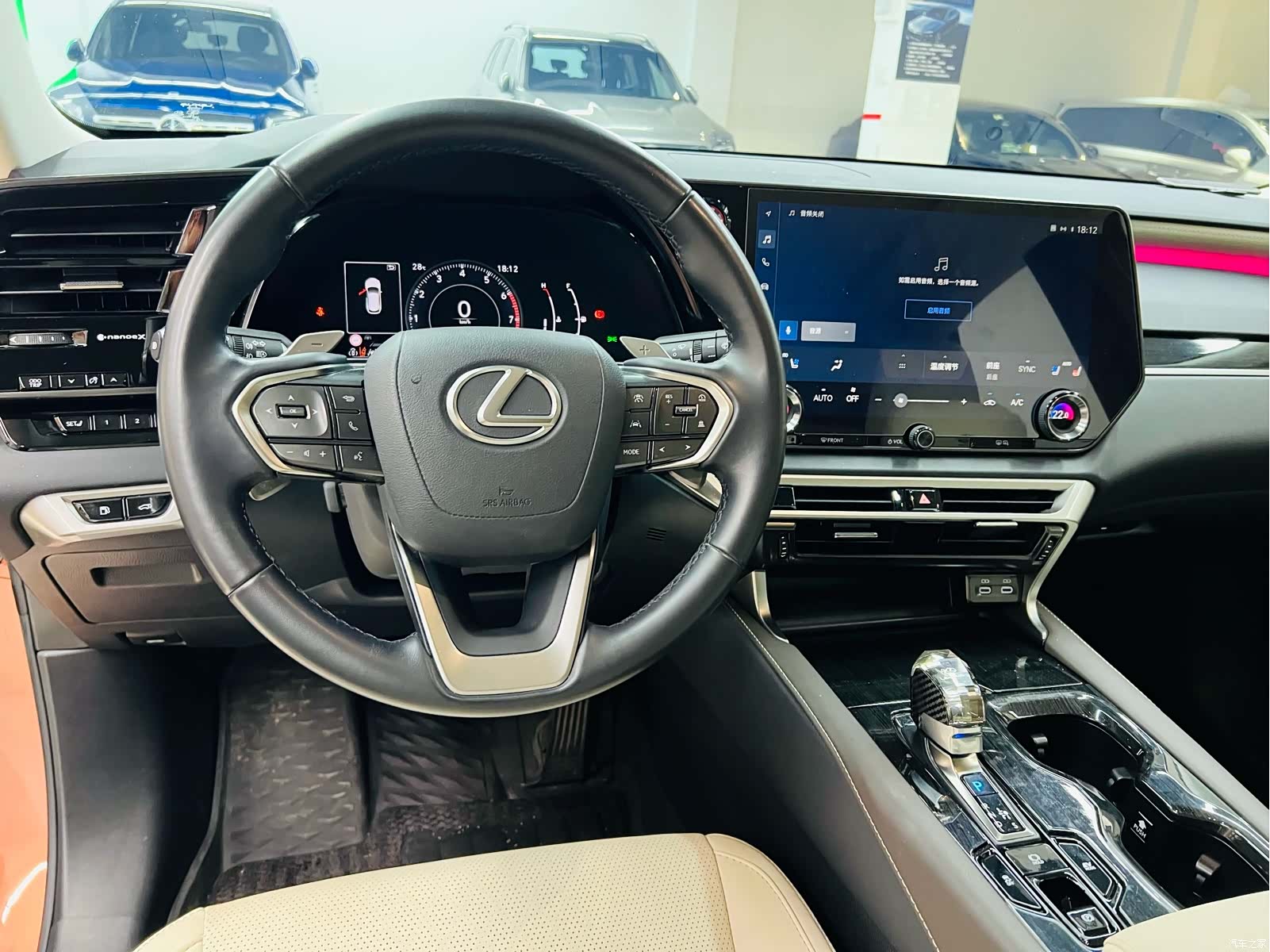 Lexus RX, 2023 8
