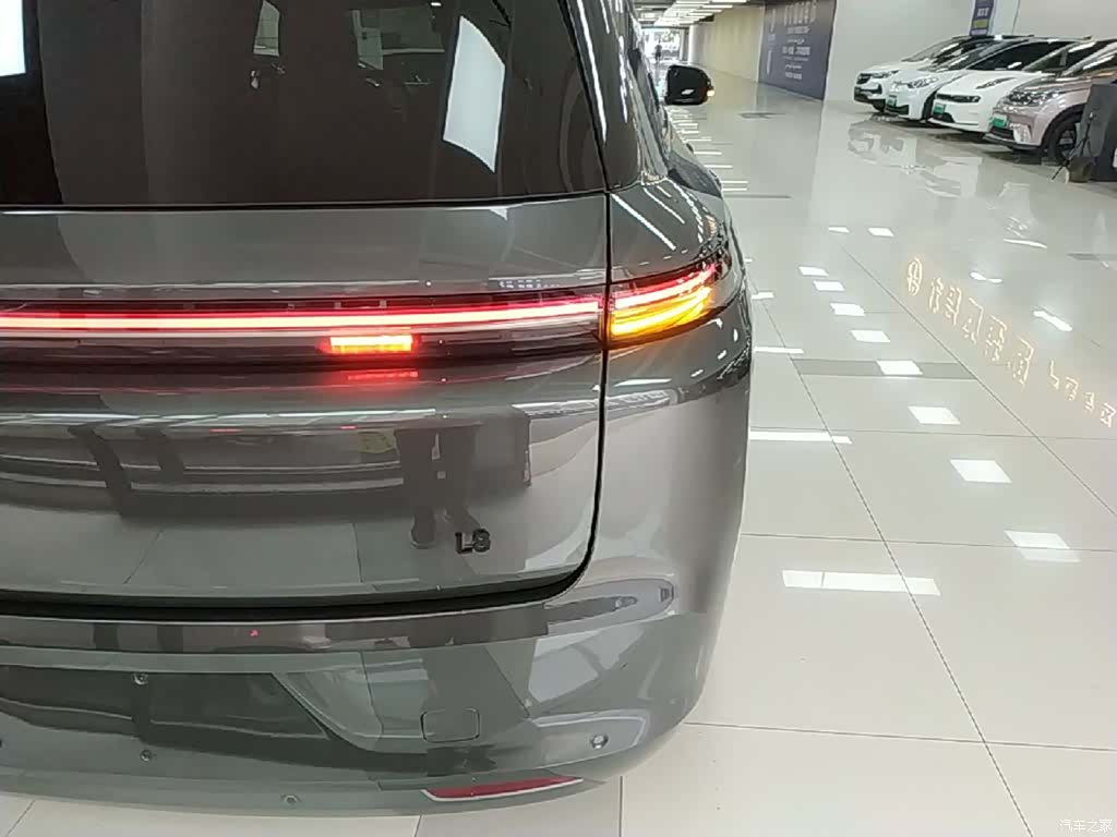 Li Auto L8, 2023 8