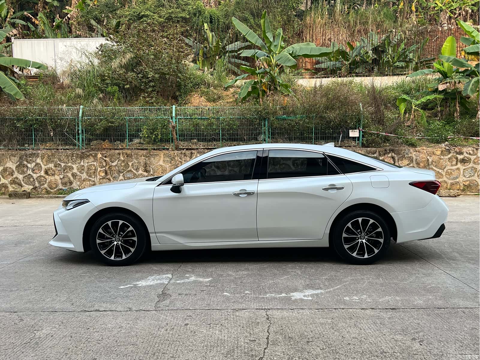 Toyota Avalon, 2023 3