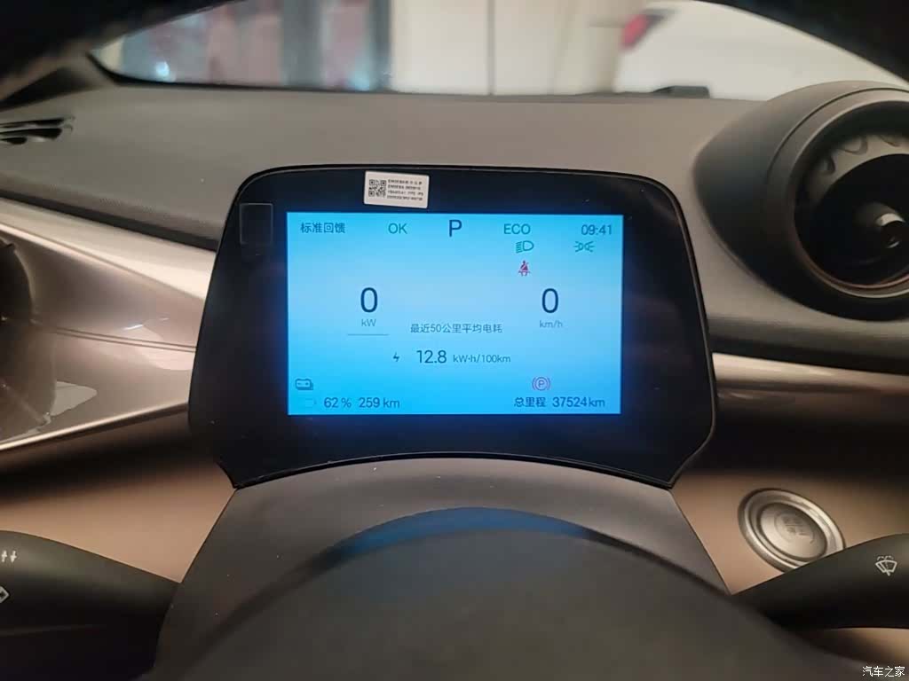 BYD Dolphin, 2024 12