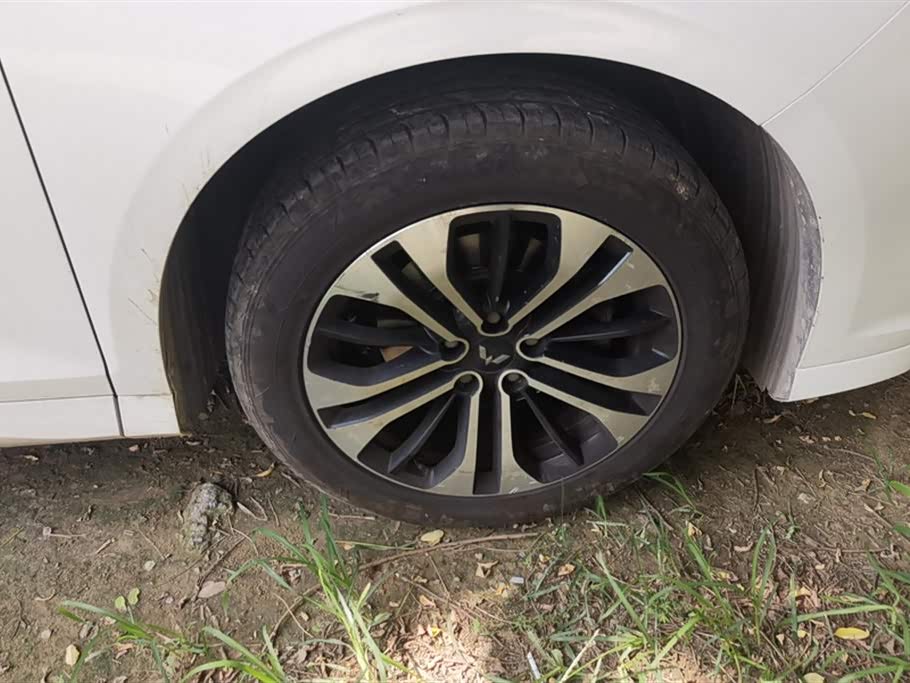 Wuling Wuling Capgemini