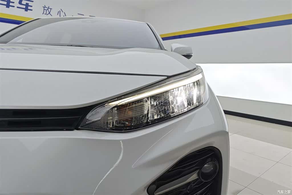 Toyota Wildlander, 2023 все фото