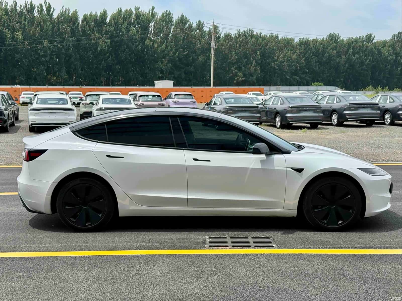 Tesla Model 3, 2024 все фото