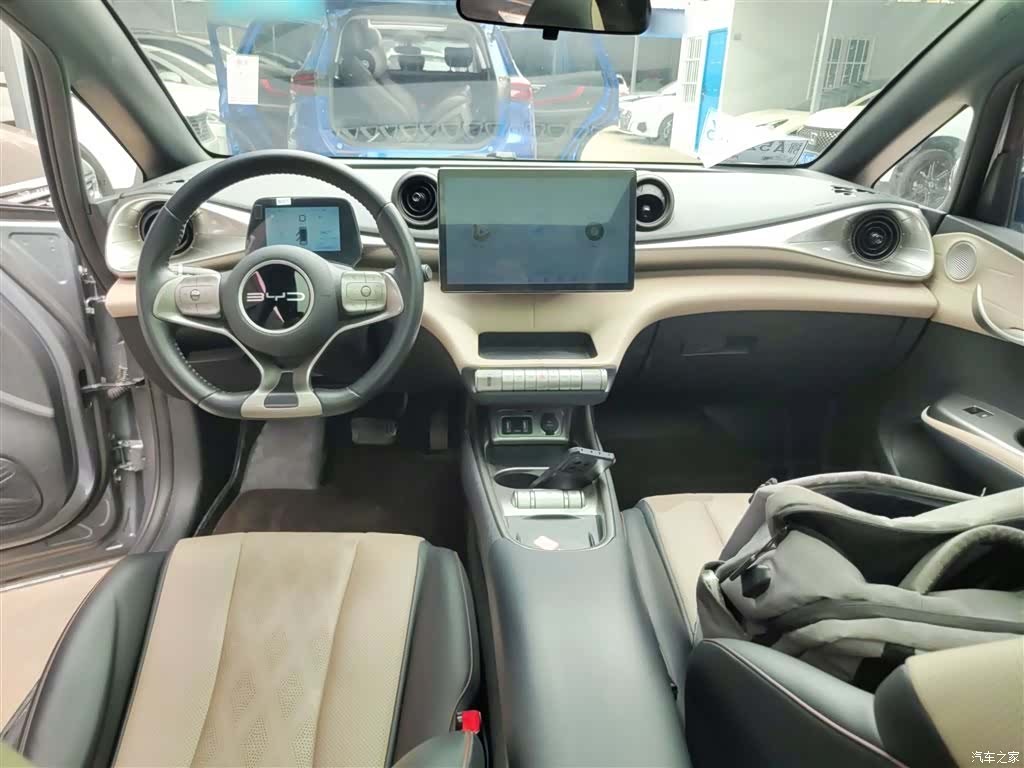 BYD Dolphin, 2023 10