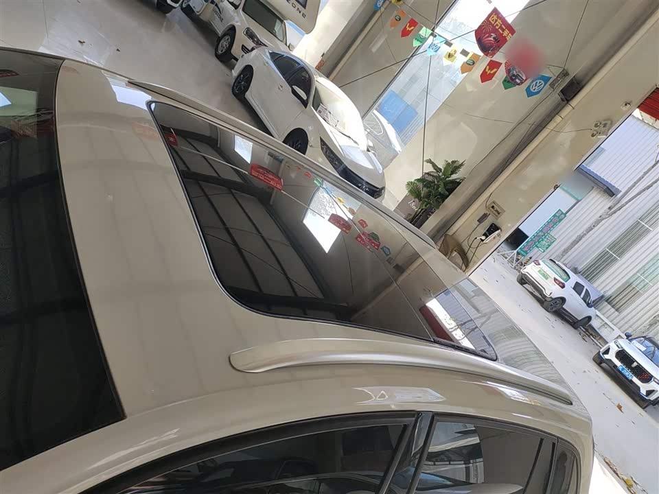 Volkswagen C-TREK Wei Collar