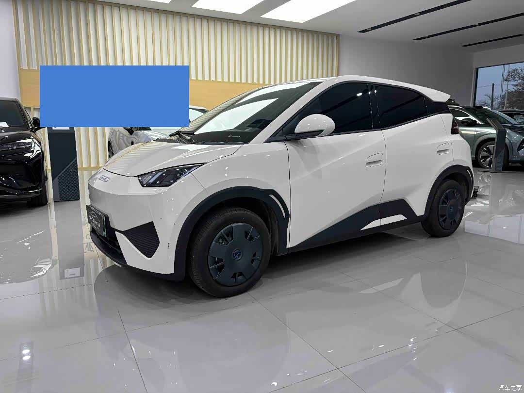 BYD Seagull, 2025 3