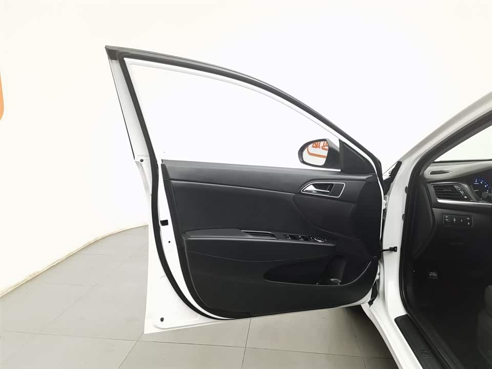 Hyundai Name picture