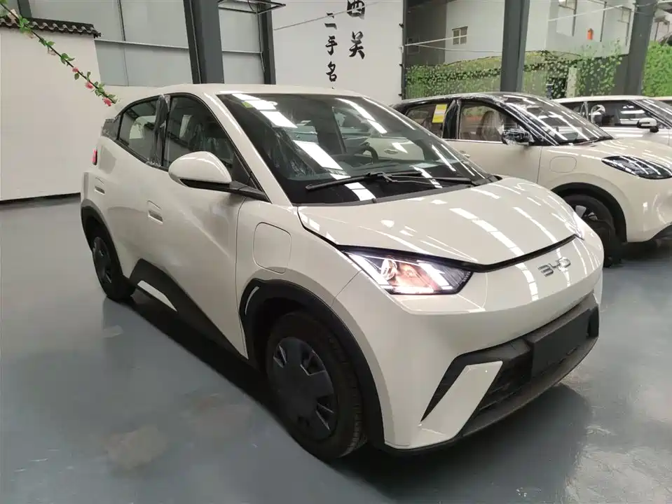 BYD Seagull