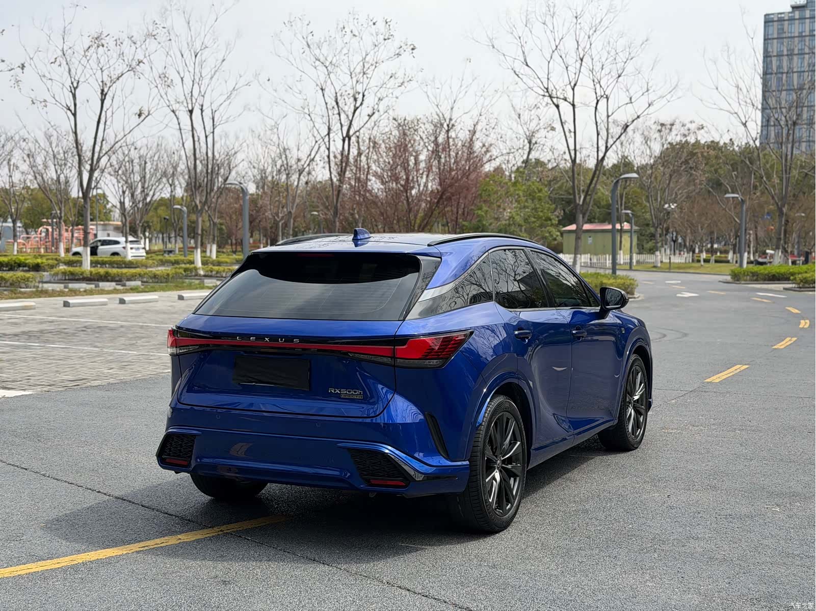 Lexus RX, 2023 13