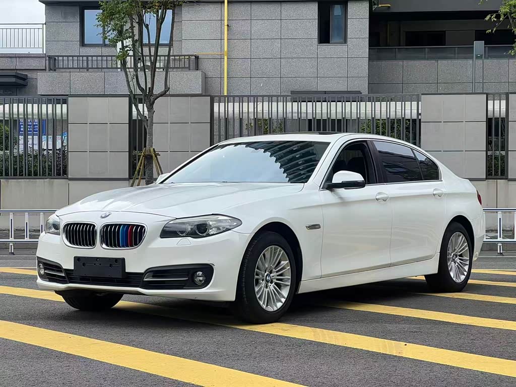 BMW 5 Series 5 2014 525Li Lead