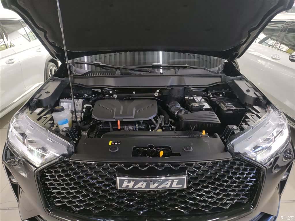 Haval H6, 2024 10